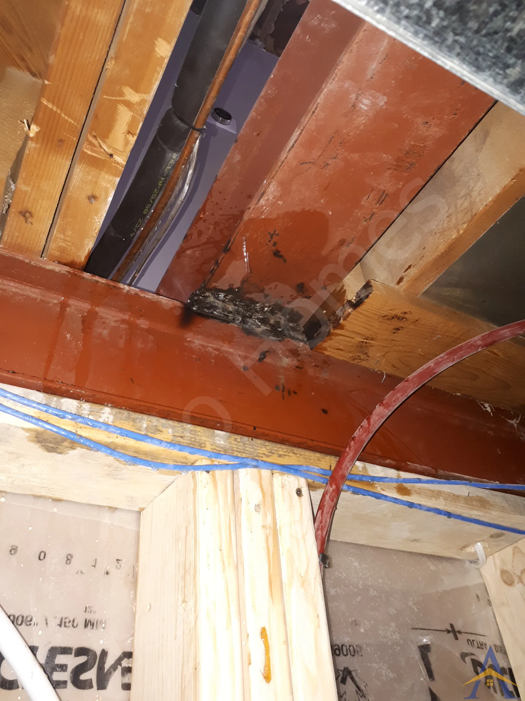 Load Bearing Wall Removal - Bungalow - Doerr, Scarborough - Image 7